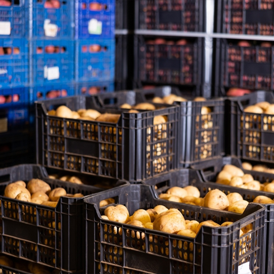 Pp corrugated sheet manufacturers